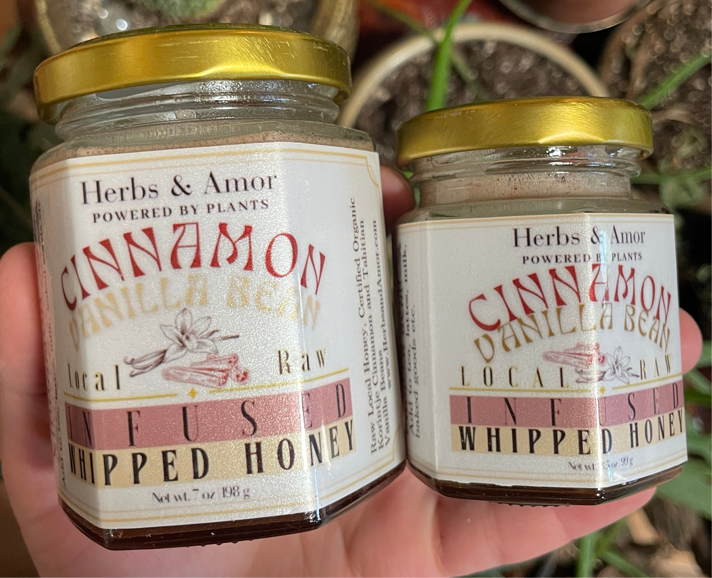 INFUSED WHIPPED HERBAL HONEY | Local & Raw