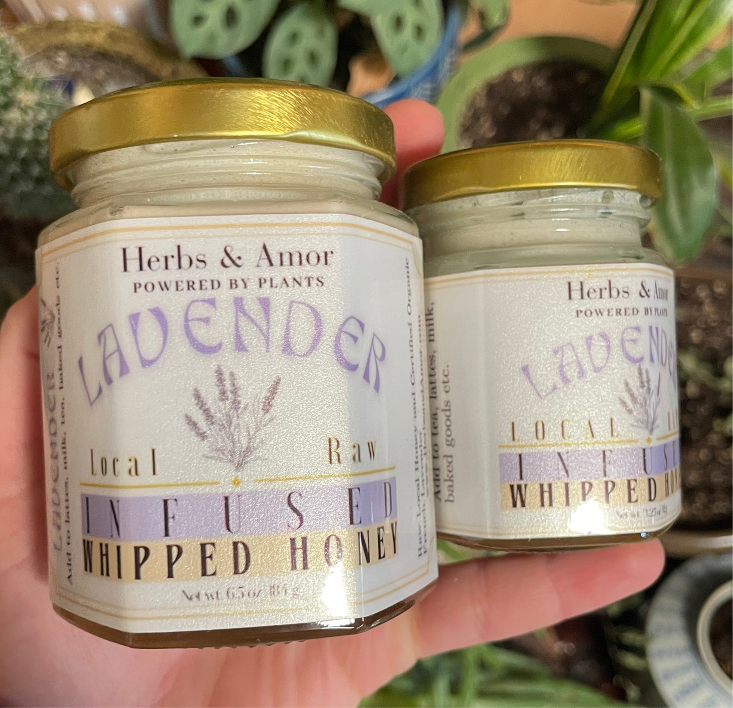 INFUSED WHIPPED HERBAL HONEY | Local & Raw