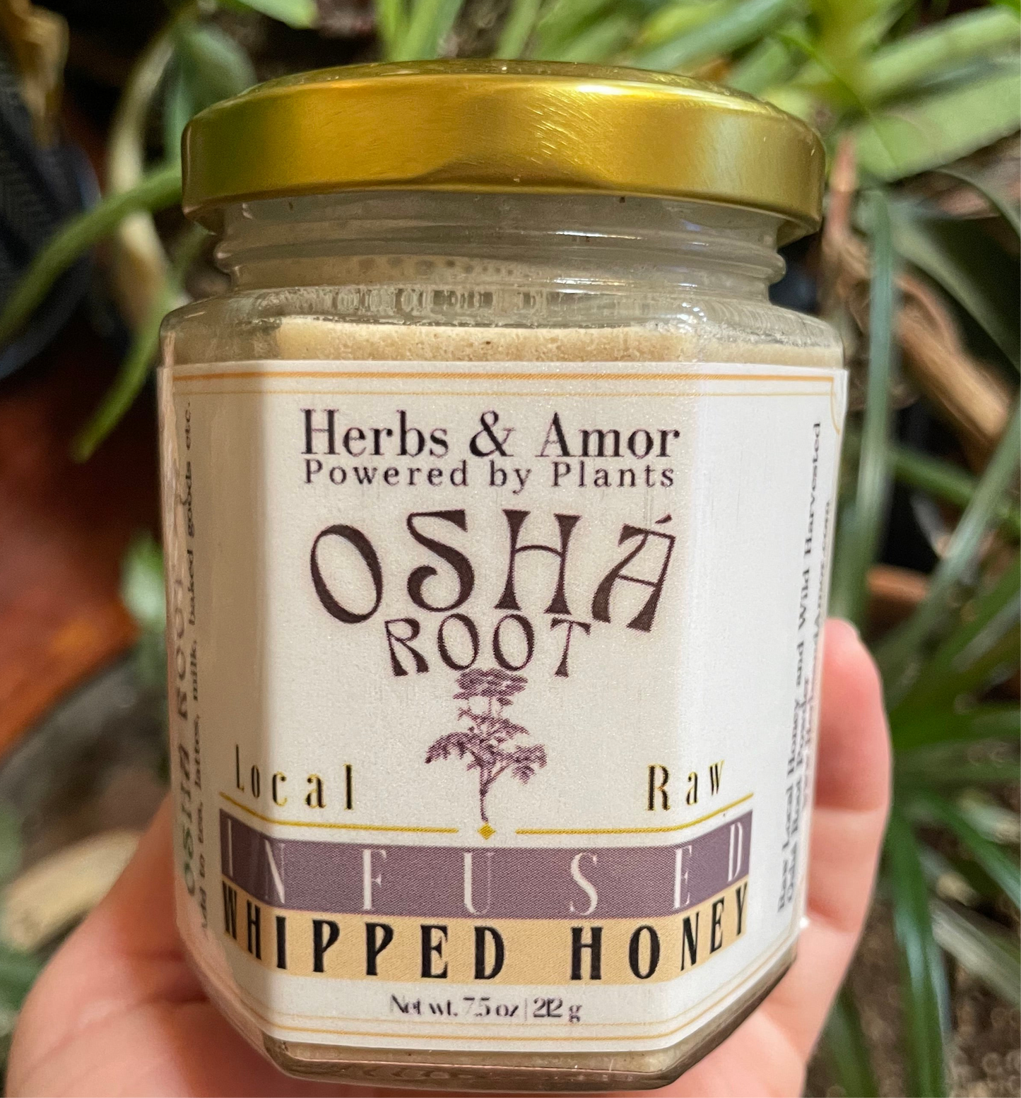 INFUSED WHIPPED HERBAL HONEY | Local & Raw