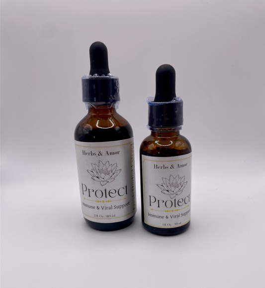PROTECT | Immune Support Fresh Herbal Extract